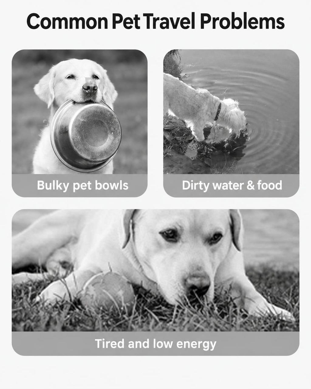 2-in-1 Portable Dog Water Bottle with Food Feeder for Walking, Travel & Outdoor Use