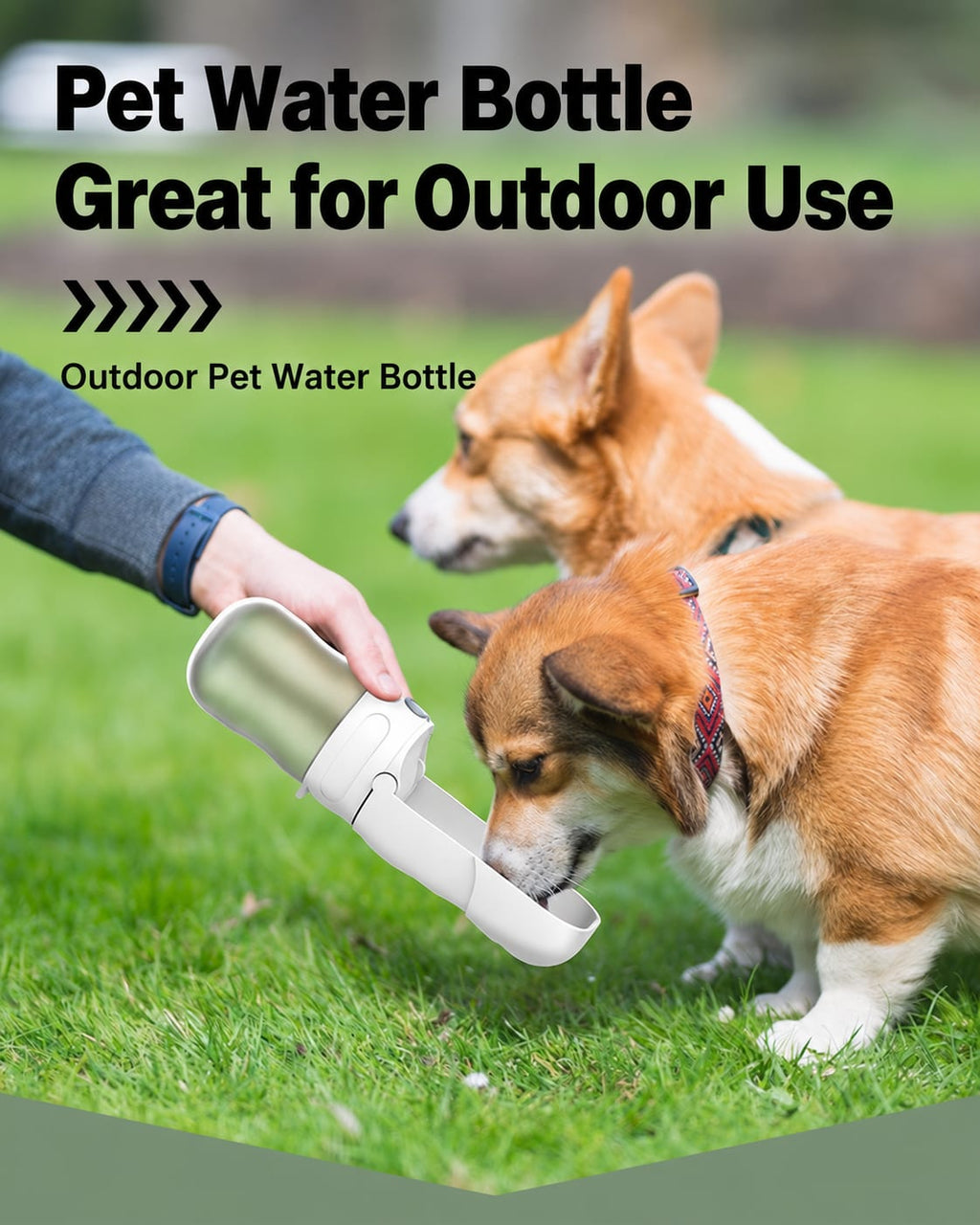 2-in-1 Portable Dog Water Bottle with Food Feeder for Walking, Travel & Outdoor Use